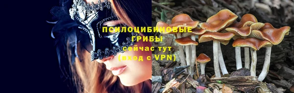 гидропоника Красноперекопск