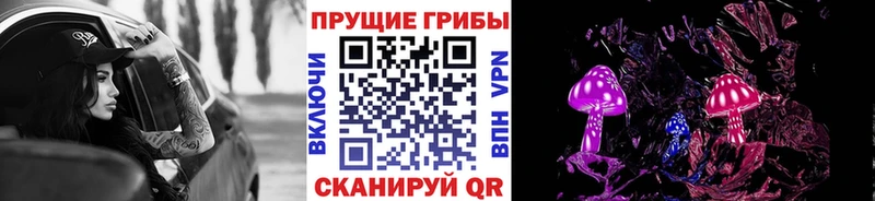 Купить где  Иваново  Галлюциногенные грибы Psilocybe 